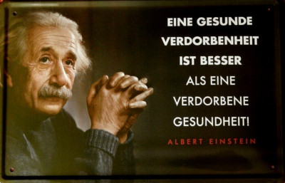 1 Blechschild, 20 x 30 cm, Albert EINSTEIN, gesunde Verdorbenheit,  Neu,  OVP