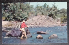 vtg postcard Fishing Shh he's coming this way Plastichrome Ewing