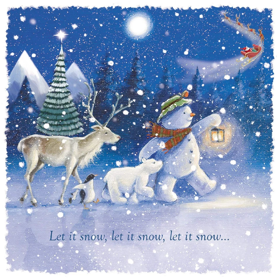 ST ANN'S HOSPICE ONLINE SHOP 'Starlit Stroll' Pack of 10 Charity Christmas Greetings Cards