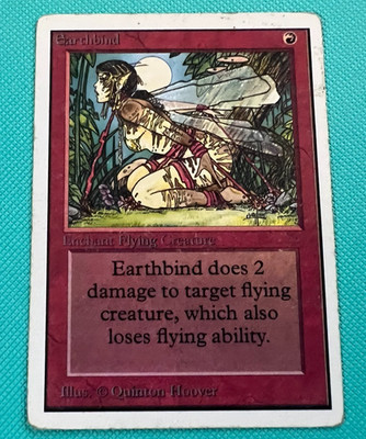 Earthbind - Unlimited- MTG - Magic the Gathering - MP