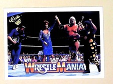 American Dream Sapphire &  Miss Elizabeth - 1990 Classic WWF #122 NM (E3)