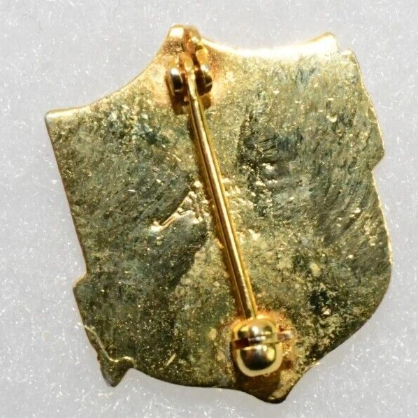 Vintage Technician Lapel Pin Shield Gold Plated Medical Insignia Emblem 1977 BX4 - Image 4 of 4