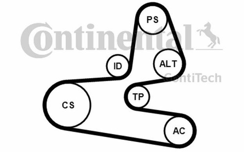 CONTITECH Keilrippenriemensatz für PEUGEOT 206 206 + PARTNER 6PK1564K1