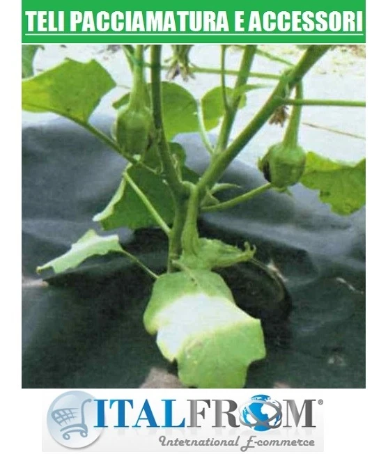 - SENZA MARCA/GENERICO – TELO PER PACCIAMATURA IN TNT TESSUTO NON TESSUTO TRASPIRANTE X ERBACCIE 0,8X10mt
