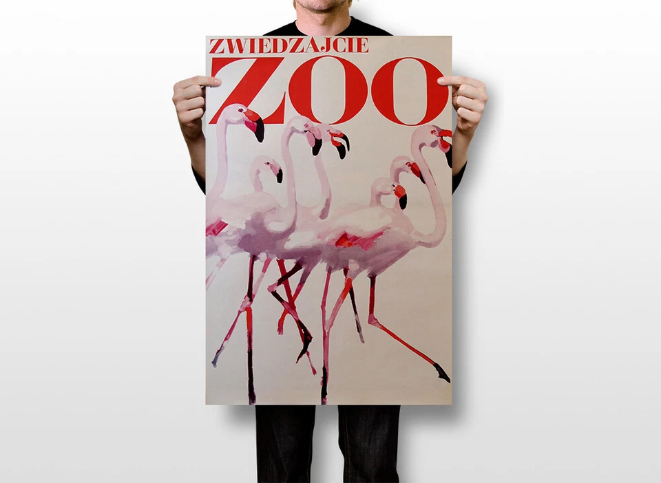 Arte de pared vintage polaco Zoo Draw Flamengos decoración del hogar - PÓSTER 20x30 Foto 2 de 4