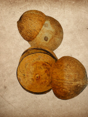 Coconut Shell Halves Eco Friendly 100% Natural Ceylon Pure Product