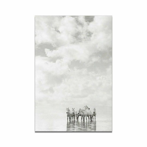 Animal White Horse Canvas Art Print Poster Living Room Wall Picture Modern Decor - Picture 15 of 17