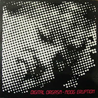 Digital Orgasm - Moog Eruption (Vinyl 12'' - 1991 - BE - Original)