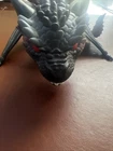 Funko Pop Rides Game Of Thrones Drogon Figure Only Loose Dragon 2016