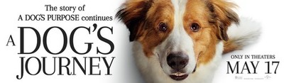 A Dog S Journey 2019 5 Filmposter Kunstdruck Display Kino Format Anime Nervenkitzel