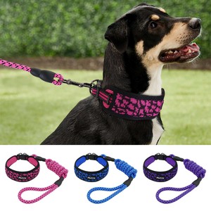 mesh dog collar