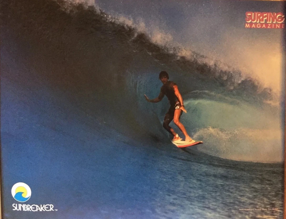 Ebay surf 2024
