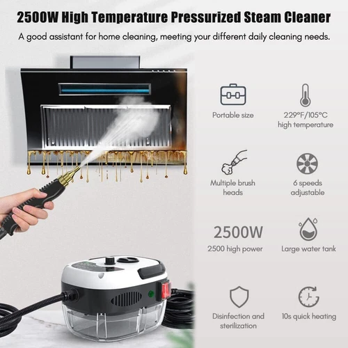 2500W Handheld Steam Cleaner Machine High Tempetature Steamer Cleaning Tools - Picture 3 of 12