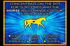 Funny Bar Tin Metal Signs Home D cor 8x12 All Weather Made In USA She Shed Gar