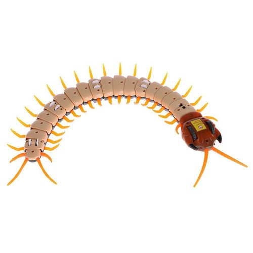Wiederaufladbare elektrische Infrarot-Fernbedienung Electric Toy - Centipede - Picture 4 of 6