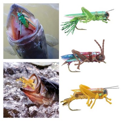 Swimbait Barschköder, Kurbelköder, Angelgeschenk, lebensechte Heuschrecken