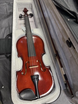 Thomann student violin 4/4 with dominant strings carry case, bow and neck rest