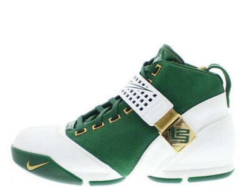 NIKE ZOOM LEBRON V 317253-311 gorge 