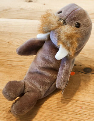 Ty Beanie Babies Jolly der Seelöwe Sammlungsauflösung gut erhalten wie Neu