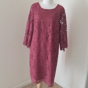 ann taylor plus dresses