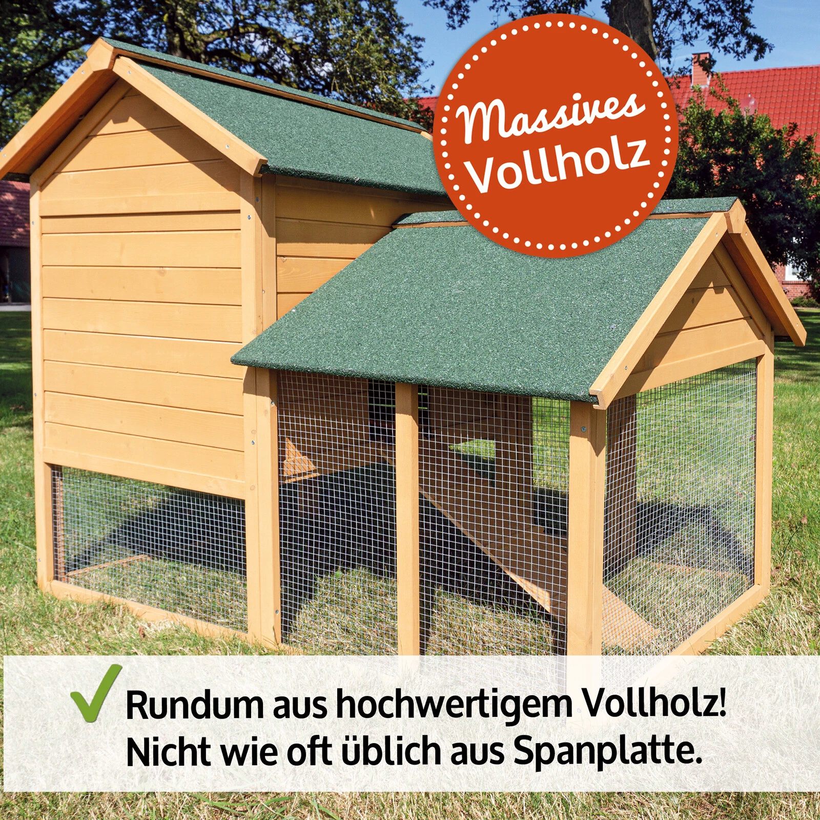 Bild 7 von 12