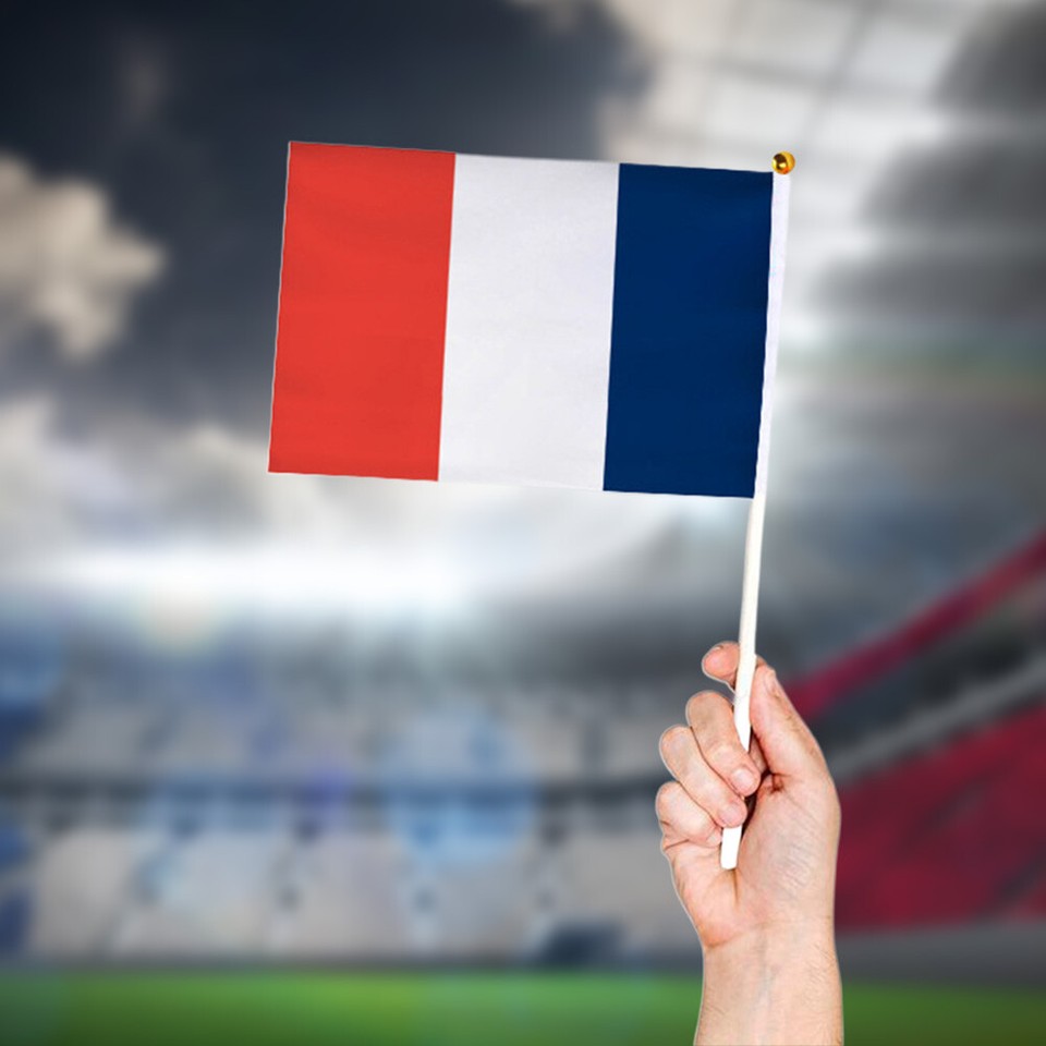 24pcs Mini Flag with Poles International World Country Flags Football