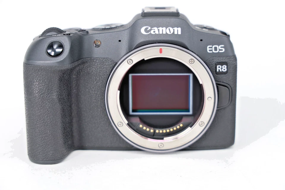 Canon EOS R8 24,0MP / 2.000 Auslösungen / #024952 - Image 2 of 4