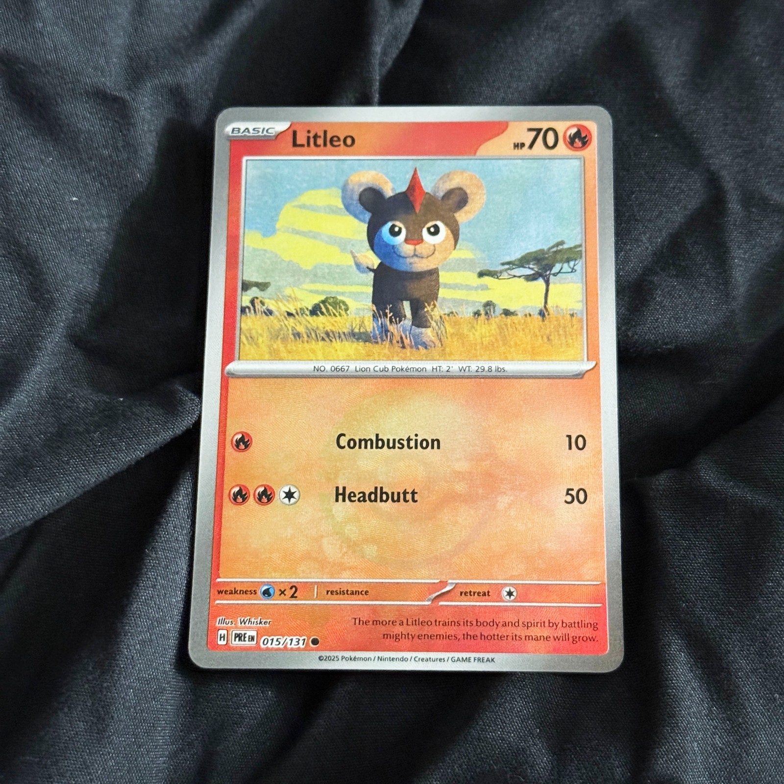 Litleo (Poke Ball Pattern) 015/131 Prismatic Evolutions Holo POKEMON NEAR MINT