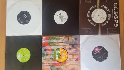6 x 10inch Dub feat King General, Singer Blue, Lyrikal Benjie, Dubatee uvm.