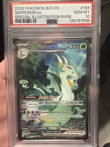 POKEMON 2025 Black Bolt Special Illustration Rare SERPERIOR EX #164 PSA 10