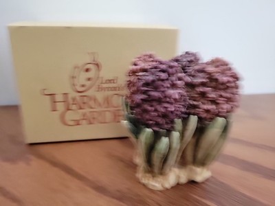 Harmony Garden Lord Byron Hyacinth - HGHY2