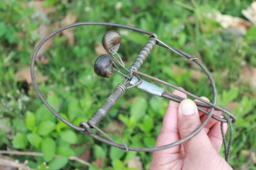 10x Fallen Mäuse Ratte Jagd STARK Schnappfang Falle Schädlingsbekämpfung Survival Camping - Bild 4 von 4