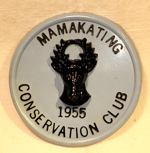 CHOICE of year MAMAKATING CONSERVATION CLUB fish game Pinback Button Badge pb - Afbeelding 5 van 14