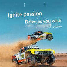 FMS 1/18 piccolo destriero ha una versione spazzolata del telecomando auto da corsa