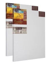 Masterpiece Z2VA-2460 Vincent Pro 24"x60" Deep Muir Stretched Canvas 2 Pack