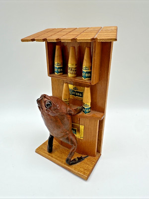 Vintage Mexican Taxidermy Cane Toad Frog Corona Modelo Folk Art Bar 6 