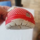 Foto 13 di 18