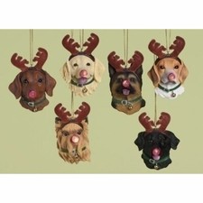 Dog w/LED Nose and Antlers Ornaments