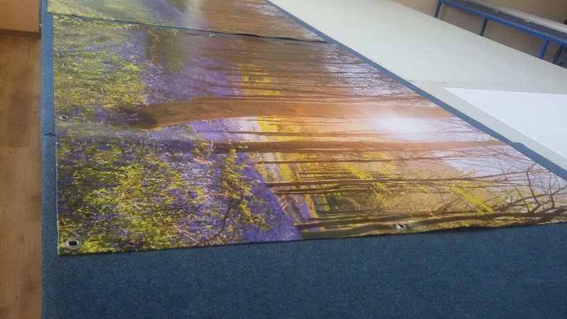 Bild 5 von 5