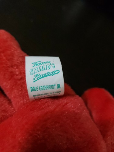 Dale Earnhardt Jr #8 Teddy Beanie Bear key chain Salvino's racing team NASCAR - Picture 3 of 6