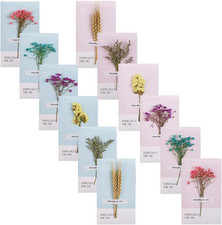 12 St&uuml;ck Getrocknete Blumen Gru&szlig;karten Retro DIY Gru&szlig;karte 6 verschiedene Arten