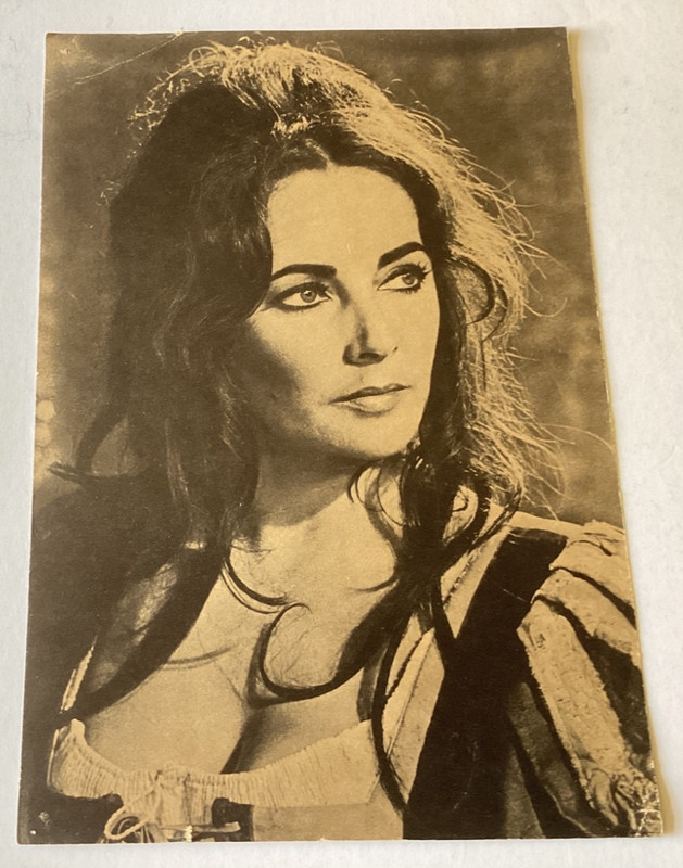 VINTAGE 1970’s ELIZABETH TAYLOR LARGE PHOTO POSTER Free Shipping