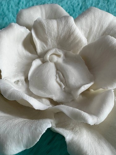 Handmade Porcelain flower vulva inspired for wall or table decor - Picture 10 of 10