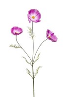 Artplants KüNstlicher Zweig SchmuckköRbchen Bralto, Lila, 80Cm