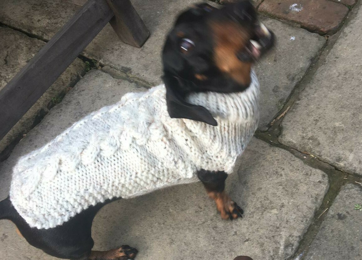 Dachshund/Sausage Dog Jumper - Handmade 