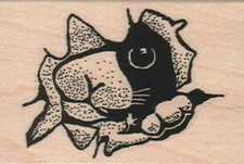 Cat Peeking Rubber Stamp 2 x 2 3/4", Cat Stamp, Cute Cat Stamp, Kitty