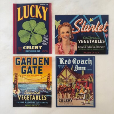 4 CELERY Vegetable LUCKY STARLET Crate Label VINTAGE Advertising SALINAS Cali