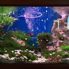 Picture 7 of 12