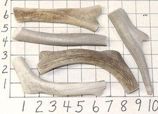 5 Deer Antler Dog Chew Treats