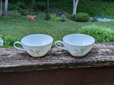 Thomas China # 7472 Germany (2) 10'' Dinner Plates & (2) Coffee Cups